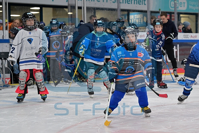 Eishockey, Herren, DEL, Saison 2024-2025, ERC Ingolstadt - Kids On Ice Day, 11.01.2025