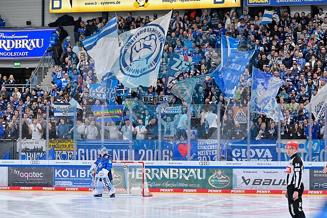 Eishockey, Herren, DEL, Saison 2025-2026, Spiel 38, ERC Ingolstadt - Kölner Haie, 09.01.2026