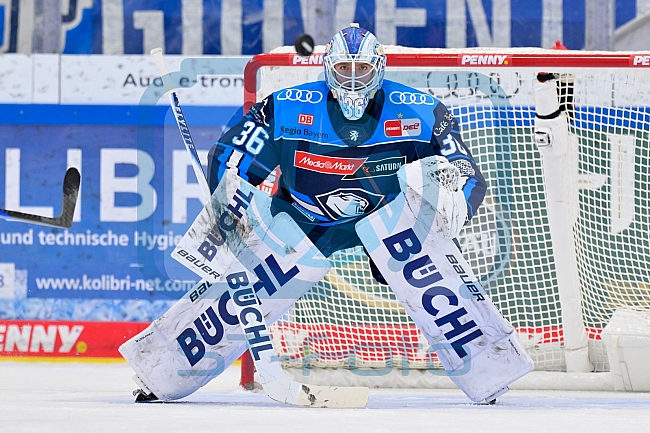 Eishockey, Herren, DEL, Saison 2025-2026, Spiel 40, ERC Ingolstadt - Straubing Tigers, 16.01.2026