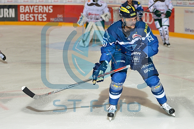 ERC Ingolstadt vs Augsburger Panther, Eishockey, DEL, Deutsche Eishockey Liga, Spieltag 21, 23.11.2016