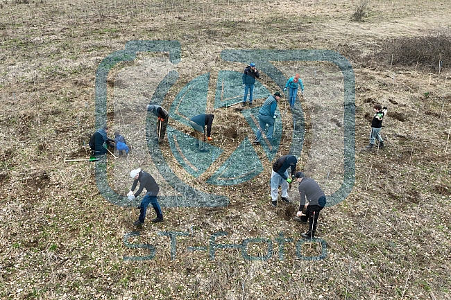 Eishockey, Herren, DEL, Saison 2023-2024, ERC Ingolstadt - Baumpflanzaktion, 03.03.2024