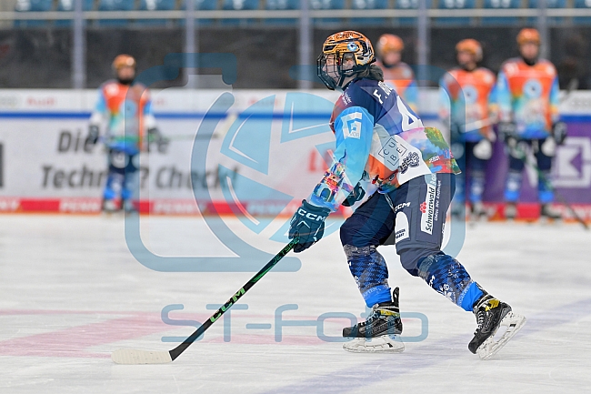 Eishockey, Frauen, DFEL, Saison 2024-2025, ERC Ingolstadt - EC Bergkamener Bären, 04.01.2025