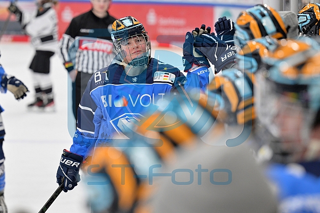 Eishockey, Frauen, DFEL, Saison 2023-2024, ERC Ingolstadt - Amsterdam Tigers, 06.01.2024
