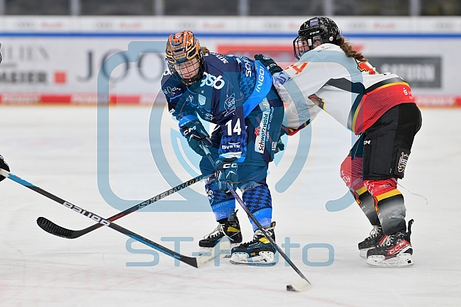 Eishockey, Frauen, DFEL, Saison 2024-2025, ERC Ingolstadt - EC Bergkamener Bären, 12.10.2024