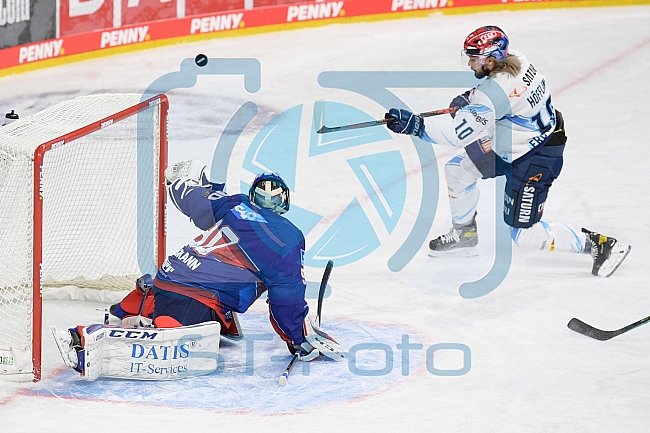 Eishockey, Herren, DEL, Saison 2020-2021, Adler Mannheim - ERC Ingolstadt, 24.01.2021
