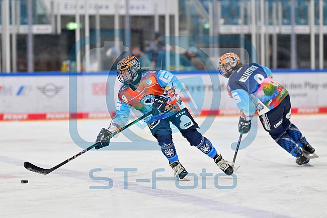 Eishockey, Frauen, DFEL, Saison 2024-2025, ERC Ingolstadt - EC Bergkamener Bären, 04.01.2025