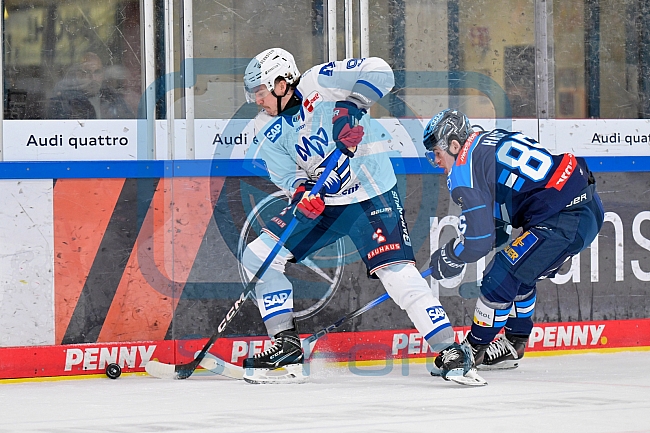 Eishockey, Herren, DEL, Saison 2025-2026, Spiel 14, ERC Ingolstadt - Adler Mannheim, 26.10.2025