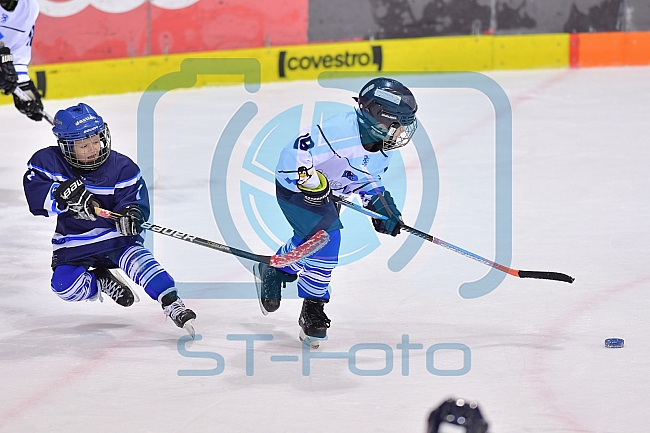 ERC Ingolstadt U20 vs Allstars Panther & Friends, Eishockey, U20, Sonderspieltag, 08.12.2018