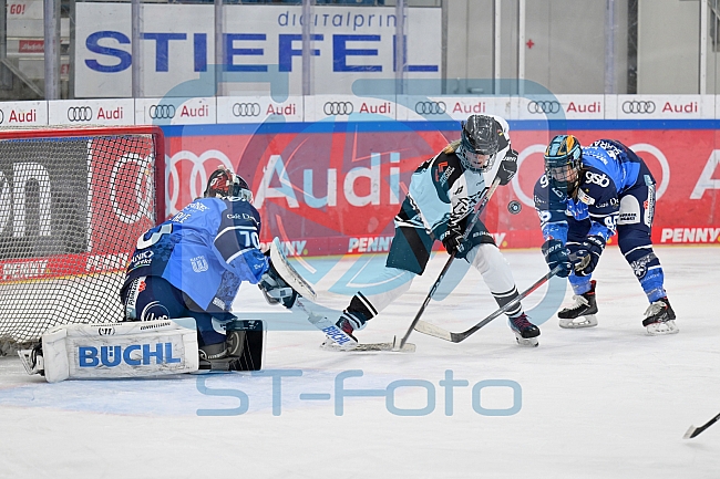 Eishockey, Frauen, DFEL, Saison 2023-2024, ERC Ingolstadt - Amsterdam Tigers, 06.01.2024