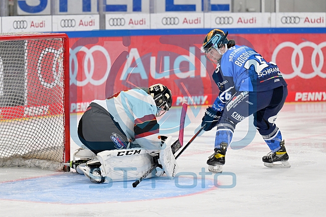 Eishockey, Frauen, DFEL, Saison 2023-2024, ERC Ingolstadt - EC Bergkamener Bären, 28.10.2023