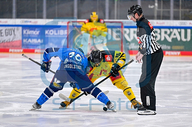 Eishockey, U20, DNL, Saison 2024-2025, ERC Ingolstadt - Krefelder EV 81, 01.03.2025