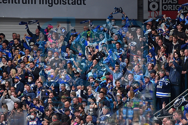 Eishockey, Herren, DEL, Saison 2021-2022, Playoffs - 1. Runde, Spiel 2, ERC Ingolstadt - Kölner Haie, 07.04.2022