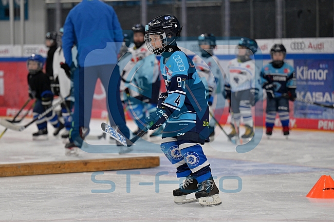 Eishockey, Herren, DEL, Saison 2024-2025, ERC Ingolstadt - Kids On Ice Day, 11.01.2025