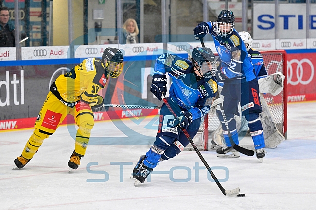 Eishockey, U20, DNL, Saison 2024-2025, ERC Ingolstadt - Krefelder EV 81, 01.03.2025