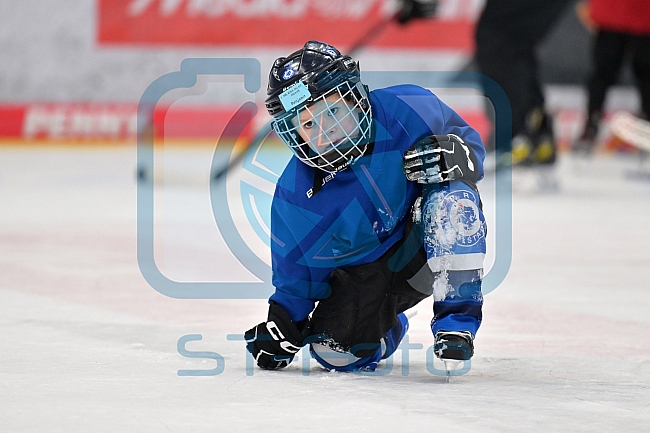 Eishockey, Herren, DEL, Saison 2024-2025, ERC Ingolstadt - Kids On Ice Day, 11.01.2025