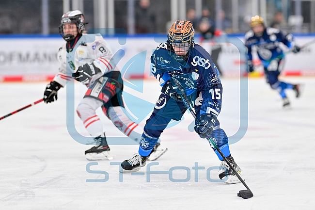 Eishockey, Frauen, DFEL, Saison 2024-2025, ERC Ingolstadt - ECDC Memmingen Indians, 16.11.2024