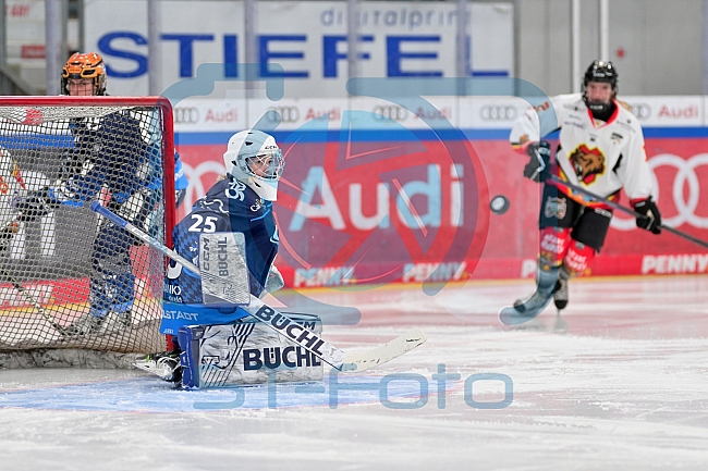 Eishockey, Frauen, DFEL, Saison 2024-2025, ERC Ingolstadt - EC Bergkamener Bären, 04.01.2025
