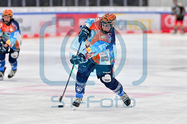 Eishockey, Frauen, DFEL, Saison 2024-2025, ERC Ingolstadt - EC Bergkamener Bären, 05.01.2025