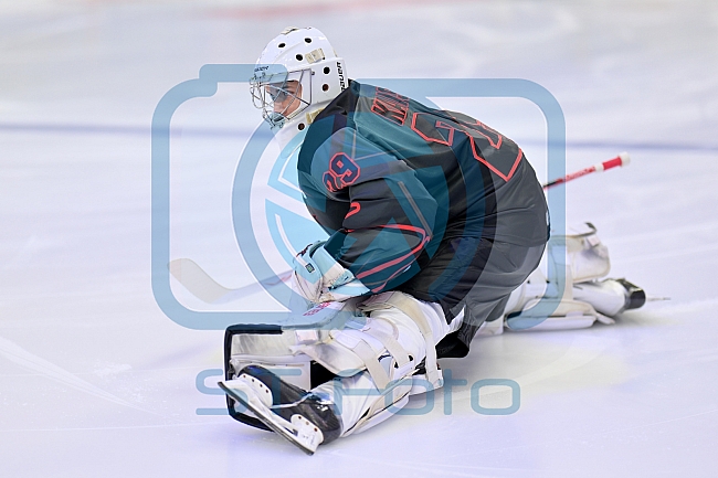 Eishockey, Herren, DEL, Saison 2025-2026, Spiel 16, ERC Ingolstadt - Kölner Haie, 31.10.2025