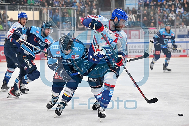 Eishockey, Herren, DEL, Saison 2022-2023, Playoff-Halbfinale - Spiel 5, ERC Ingolstadt - Adler Mannheim, 08.04.2023