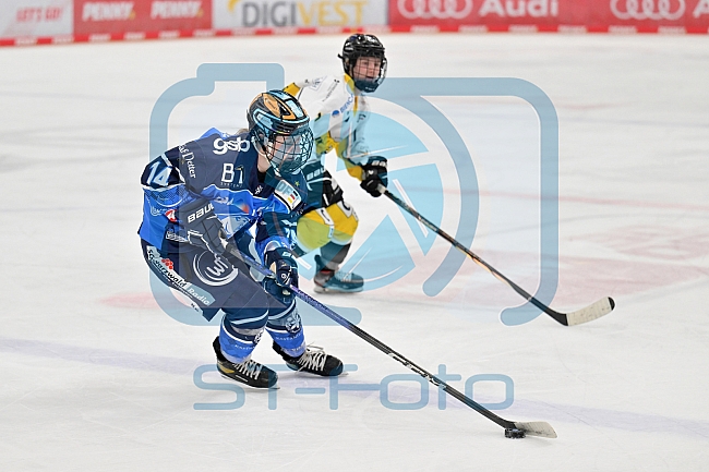 Eishockey, Frauen, DFEL, Saison 2023-2024, ERC Ingolstadt - Mad Dogs Mannheim, 18.02.2024