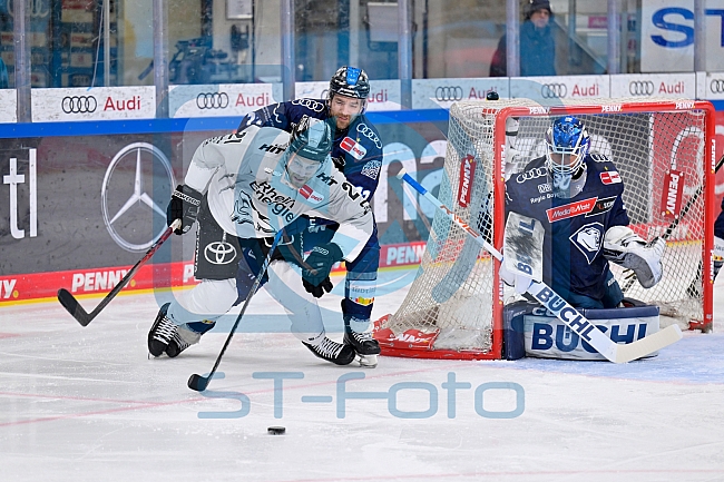 Eishockey, Herren, DEL, Saison 2024-2025, Playoffs Halbfinale, Spiel 5, ERC Ingolstadt - Kölner Haie, 11.04.2025