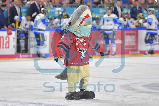 Koelner Haie vs ERC Ingolstadt, DEL, Deutsche Eishockey Liga, Playoffs, Viertelfinale, Spiel 7, 31.03.2019