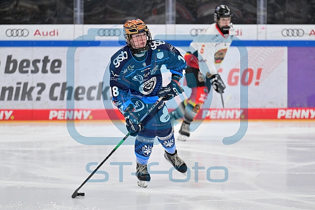 Eishockey, Frauen, DFEL, Saison 2024-2025, ERC Ingolstadt - EC Bergkamener Bären, 12.10.2024
