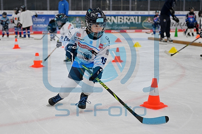 Eishockey, Herren, DEL, Saison 2024-2025, ERC Ingolstadt - Kids On Ice Day, 11.01.2025