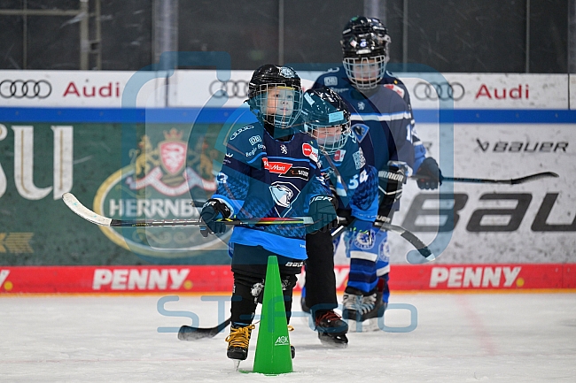 Eishockey, Herren, DEL, Saison 2024-2025, ERC Ingolstadt - Kids On Ice Day, 11.01.2025
