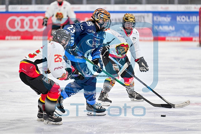 Eishockey, Frauen, DFEL, Saison 2024-2025, ERC Ingolstadt - EC Bergkamener Bären, 04.01.2025