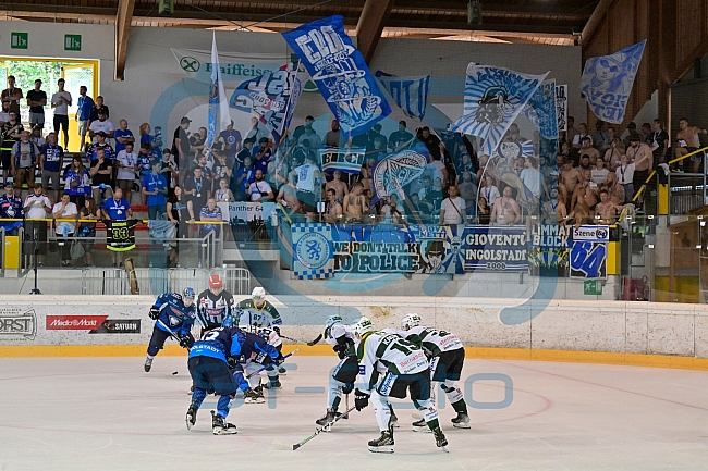 Eishockey, Herren, DEL, Saison 2024-2025, EHC Olten - ERC Ingolstadt, 25.08.2024