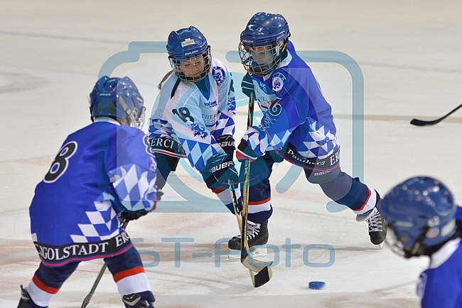 ERC Ingolstadt vs Straubing Tigers, Eishockey, DEL, Deutsche Eishockey Liga, 22.12.2015