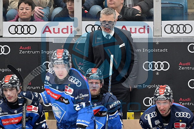 Eishockey, Herren, DEL, Saison 2023-2024, PrePlayoffs - Spiel 1, ERC Ingolstadt - Kölner Haie, 10.03.2024