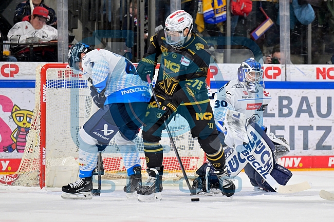 Eishockey, Herren, DEL, Saison 2024-2025, Playoffs Viertelfinale, Spiel 6, Nürnberg Ice Tigers - ERC Ingolstadt, 28.03.2025