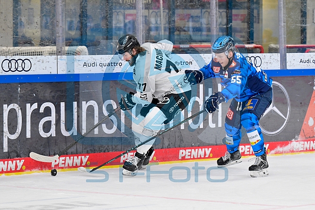 Eishockey, Herren, DEL, Saison 2025-2026, Spiel 38, ERC Ingolstadt - Kölner Haie, 09.01.2026