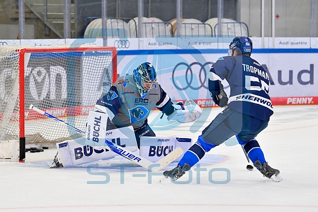 Eishockey, Herren, DEL, Saison 2026-2027, ERC Ingolstadt - Saisoneröffnung, 09.08.2026