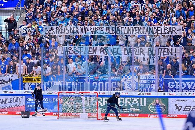 Eishockey, Herren, DEL, Saison 2024-2025, Playoffs Halbfinale, Spiel 5, ERC Ingolstadt - Kölner Haie, 11.04.2025