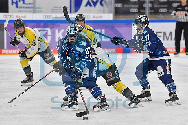 Eishockey, Frauen, DFEL, Saison 2021-2022, ERC Ingolstadt - Mad Dogs Mannheim, 23.10.2021