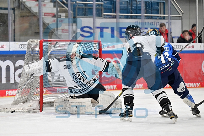 Eishockey, Frauen, DFEL, Saison 2023-2024, ERC Ingolstadt - Amsterdam Tigers, 06.01.2024