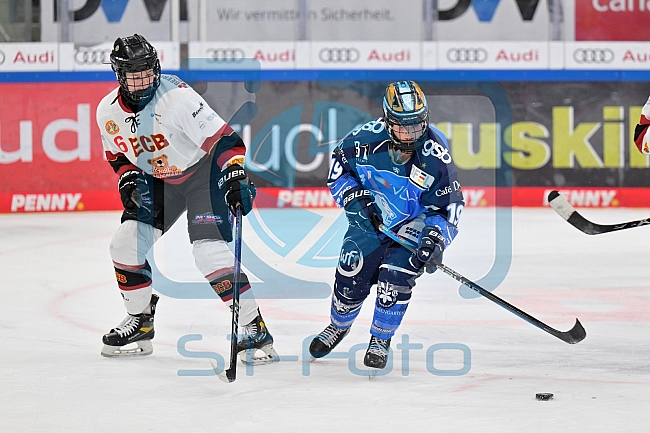 Eishockey, Frauen, DFEL, Saison 2023-2024, ERC Ingolstadt - EC Bergkamener Bären, 28.10.2023