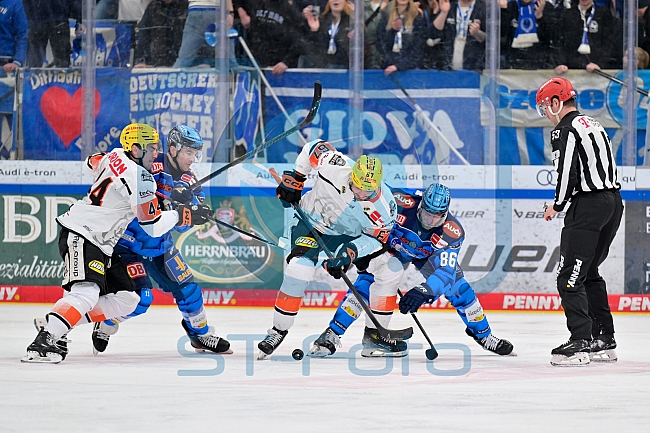 Eishockey, Herren, DEL, Saison 2025-2026, Spiel 37, ERC Ingolstadt - Löwen Frankfurt, 06.01.2026