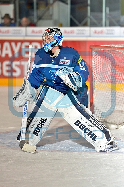 ERC Ingolstadt vs Straubing Tigers, Eishockey, DEL, Deutsche Eishockey Liga, Spieltag 41, 24.01.2017