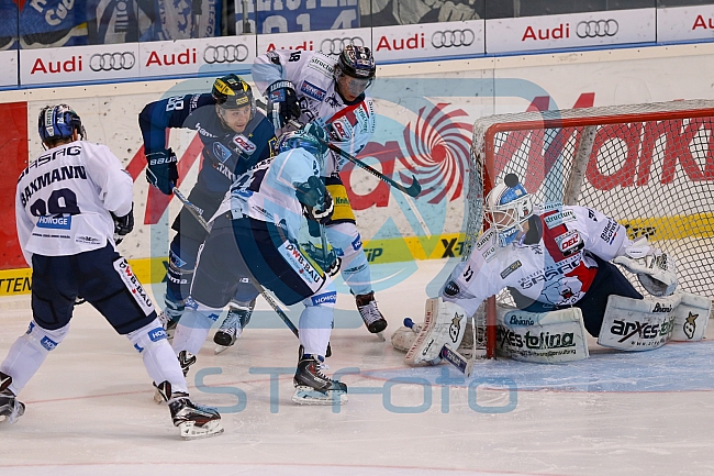 ERC Ingolstadt vs Eisbaeren Berlin, Eishockey, DEL, Deutsche Eishockey Liga, Spieltag 21, 27.11.2015