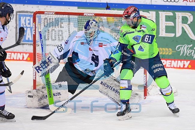Eishockey, Herren, DEL, Saison 2020-2021, ERC Ingolstadt - Straubing Tigers, 13.02.2021