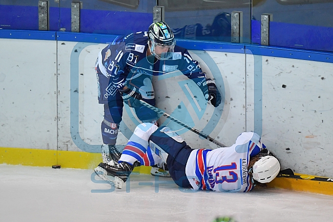 Eishockey, Frauen, DFEL, Saison 2021-2022, ERC Ingolstadt - ESC Planegg-Würmtal, 31.10.2021