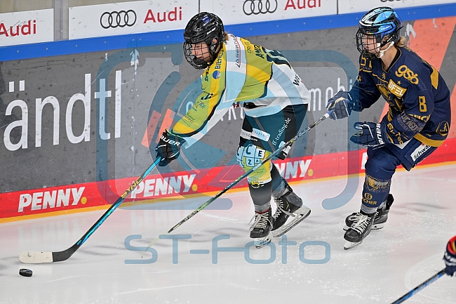 Eishockey, Frauen, DFEL, Saison 2022-2023, ERC Ingolstadt - Mad Dogs Mannheim, 20.11.2022