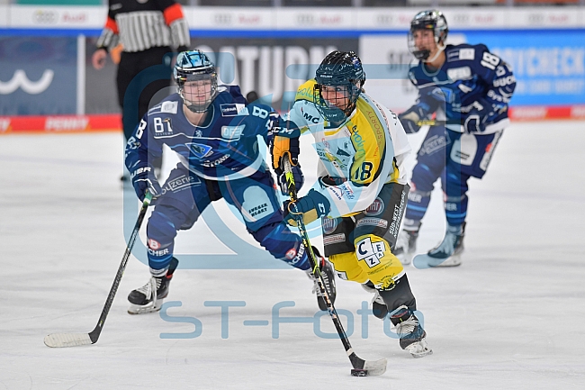 Eishockey, Frauen, DFEL, Saison 2021-2022, ERC Ingolstadt - Mad Dogs Mannheim, 23.10.2021