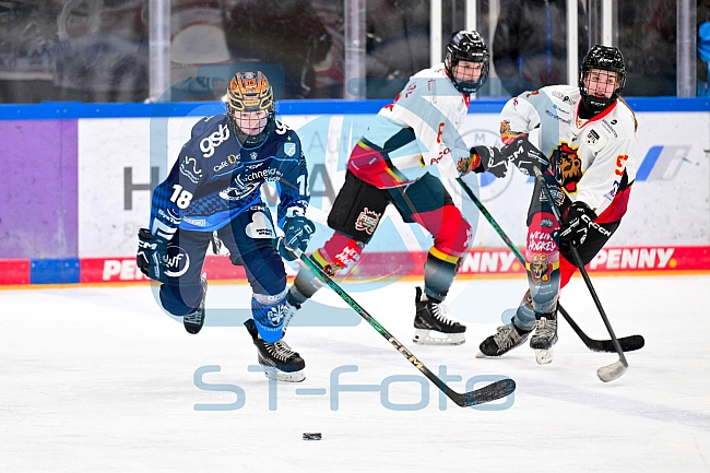 Eishockey, Frauen, DFEL, Saison 2024-2025, ERC Ingolstadt - EC Bergkamener Bären, 04.01.2025