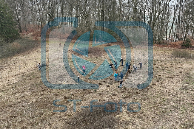 Eishockey, Herren, DEL, Saison 2023-2024, ERC Ingolstadt - Baumpflanzaktion, 03.03.2024